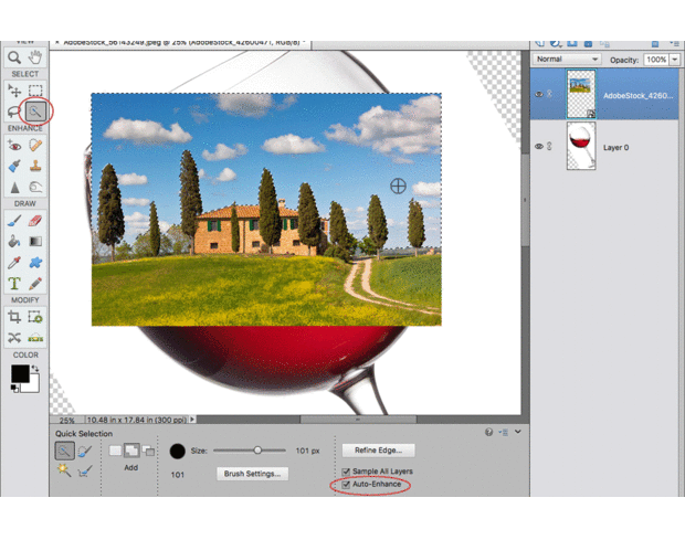 Adobe Photoshop Elements 6.0 Manual